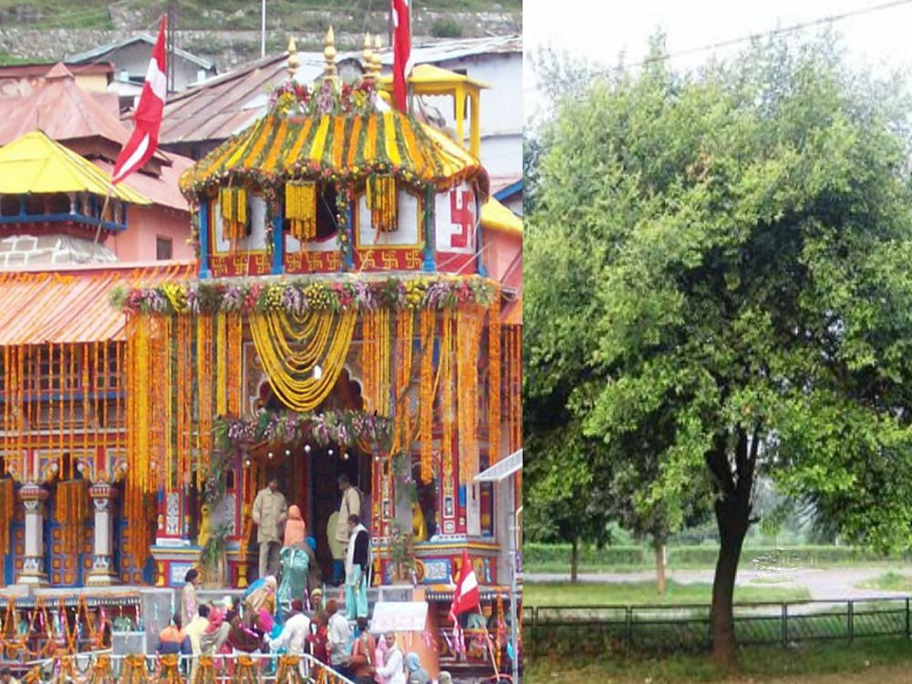 आपने चार धामों (Chardham) के बारे में तो जरूर सुना, पढ़ा होगा….इस खबर में हम आपको चार धामों (रामेश्वरम, जगन्नाथपुरी, द्वारिका और बदरीनाथ) में से एक  धाम के बारे में कुछ रोचक जानकारी उपलब्ध कराएंगे। 