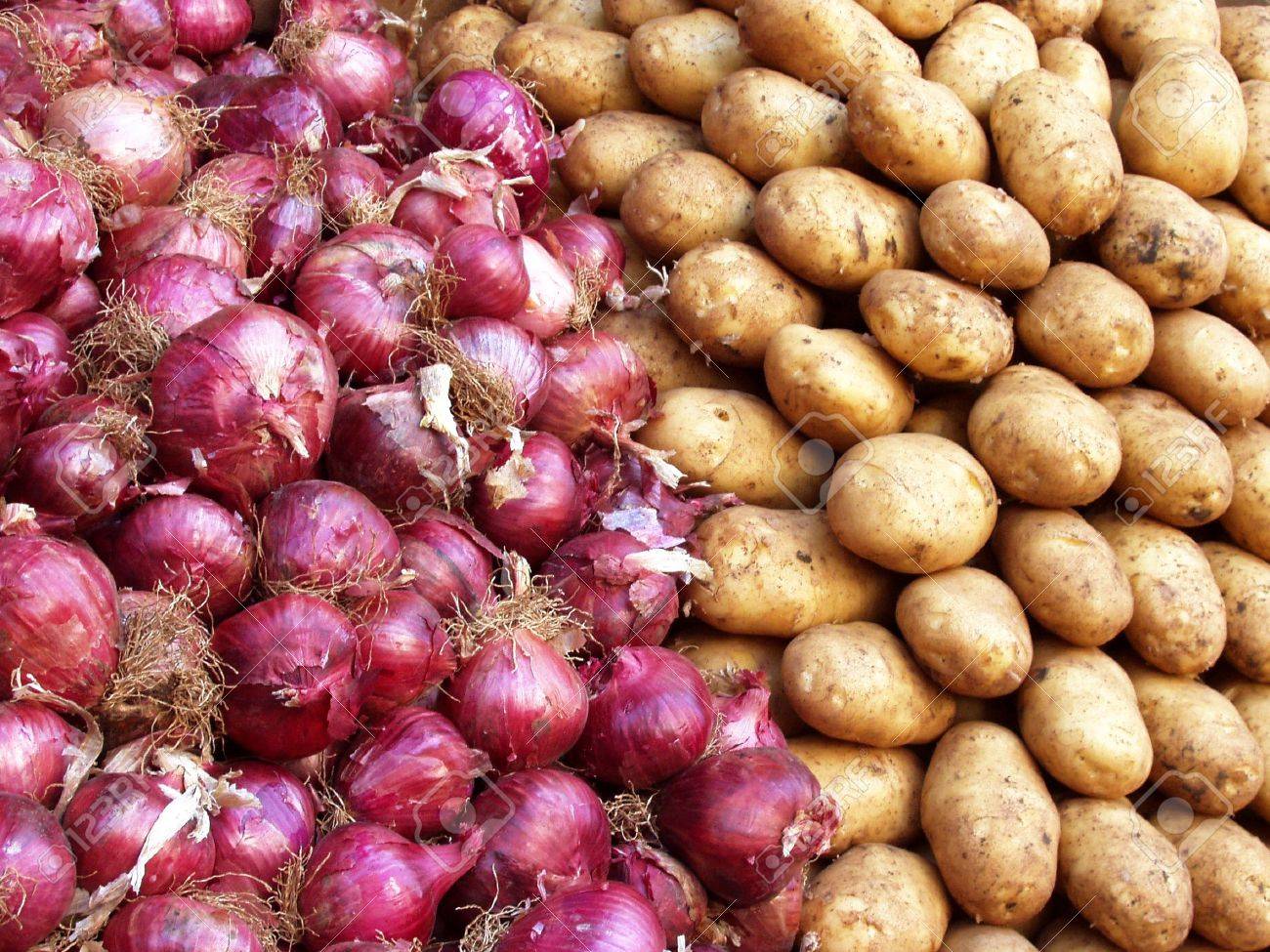 फेस्टिव सीजन में गड़बड़ाएगा रसोई का बजट, आलू-प्याज के दामों में आया उछाल | potato onion