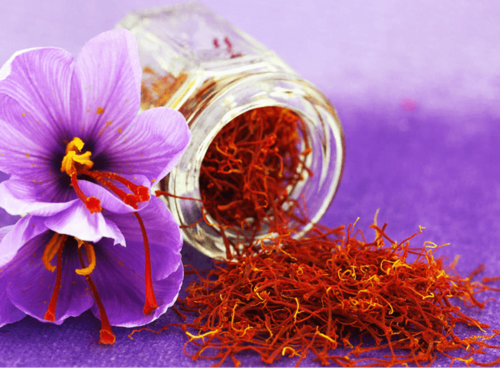 Saffron Benefits: बेहद गुणकारी होती है केसर, जानिए इससे जुड़े 12 रोचक तथ्य | saffron