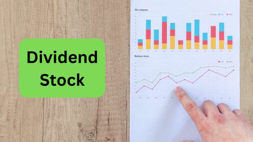 Dividend Stocks: इस दिन से पहले खरीदें हिंदुस्तान जिंक के शेयर; मिलेगा ₹6/Sh डिविडेंड का फायदा
