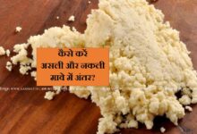 असली और नकली मावे में अंतर, Mawa Food, Mawa Sweets,