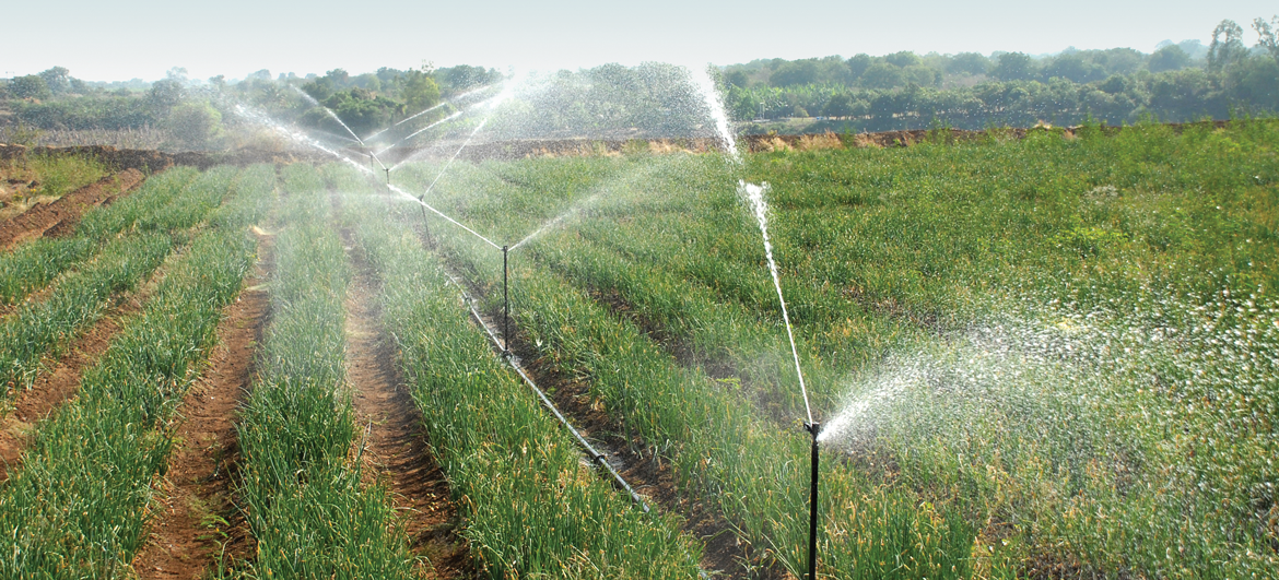 राजस्थान बजट 2026-27: 6.10 लाख करोड़ का विकास खाका, क्या 2047 तक 4.3 ट्रिलियन डॉलर अर्थव्यवस्था का सपना होगा साकार? | Agriculture Sprinkler