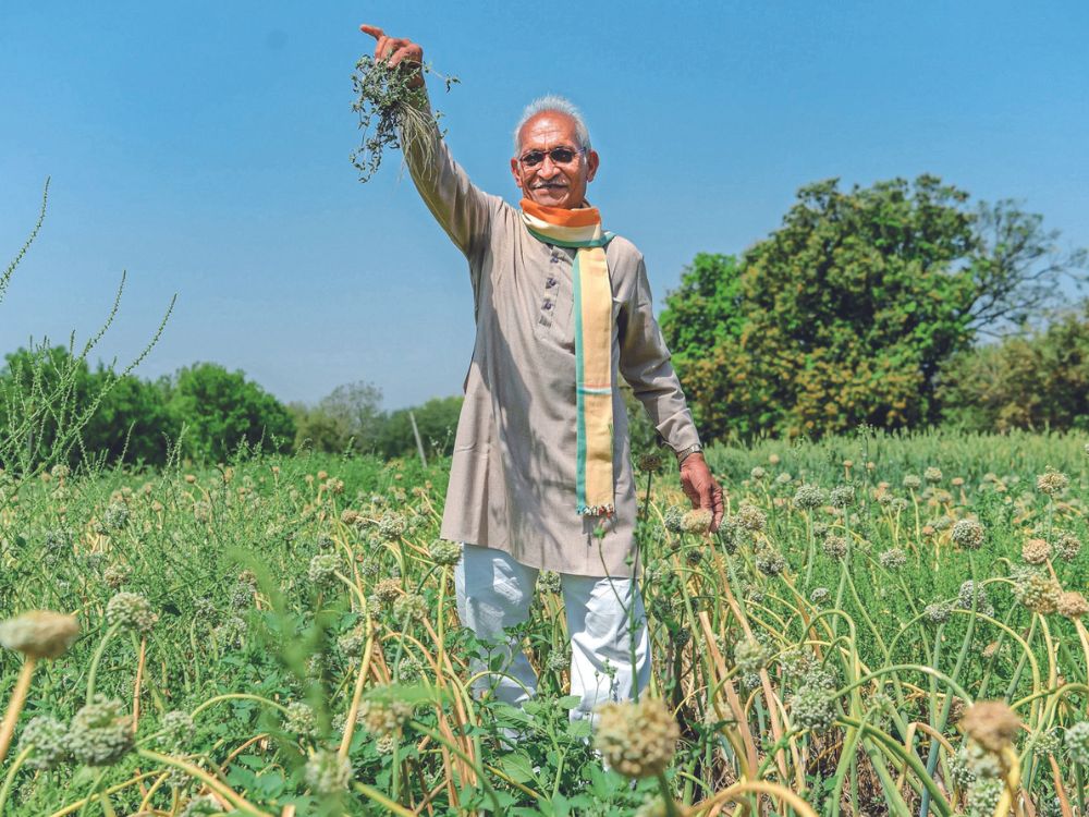 राजस्थान बजट 2026-27: 6.10 लाख करोड़ का विकास खाका, क्या 2047 तक 4.3 ट्रिलियन डॉलर अर्थव्यवस्था का सपना होगा साकार? | Farmer In Agriculture Farm