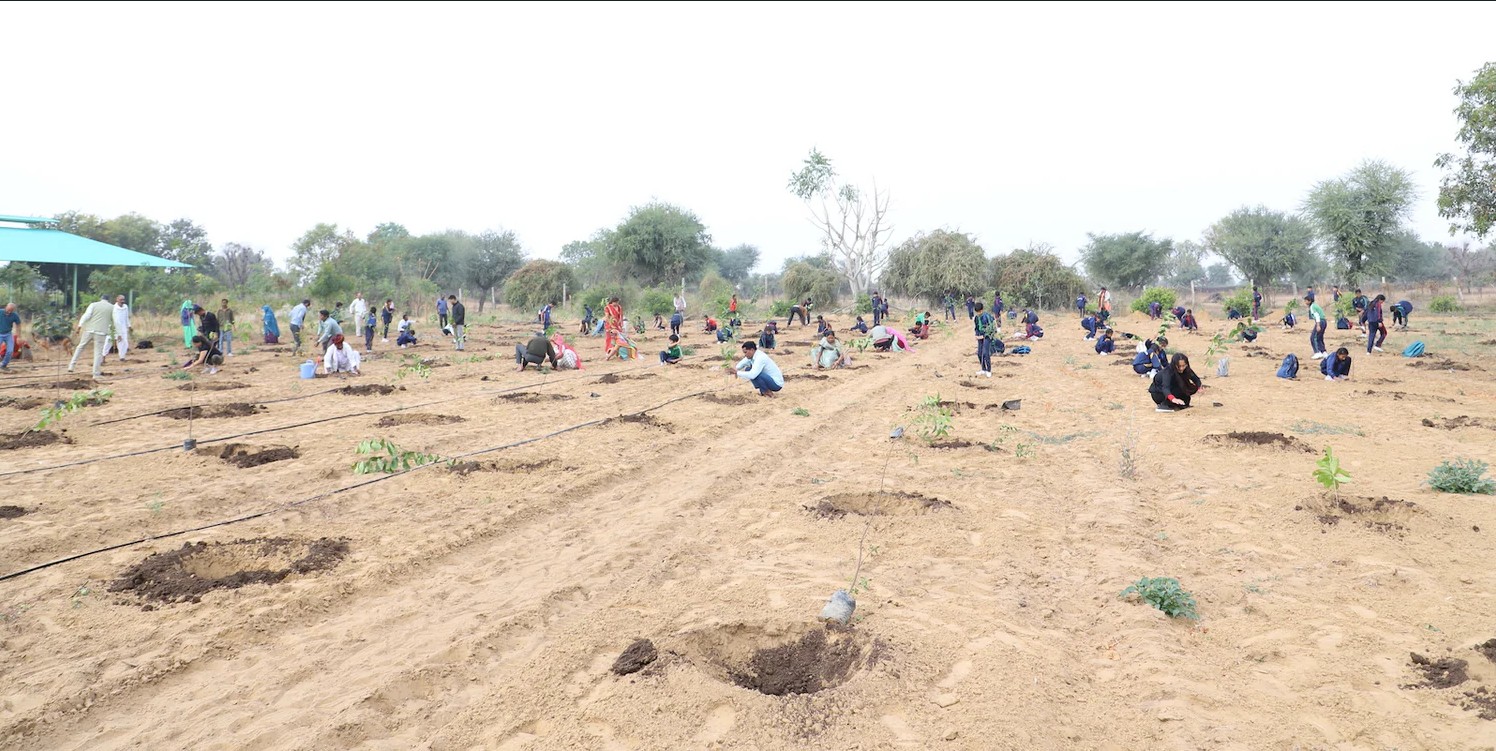 राजस्थान बजट 2026-27: 6.10 लाख करोड़ का विकास खाका, क्या 2047 तक 4.3 ट्रिलियन डॉलर अर्थव्यवस्था का सपना होगा साकार? | Grow Tera Trees